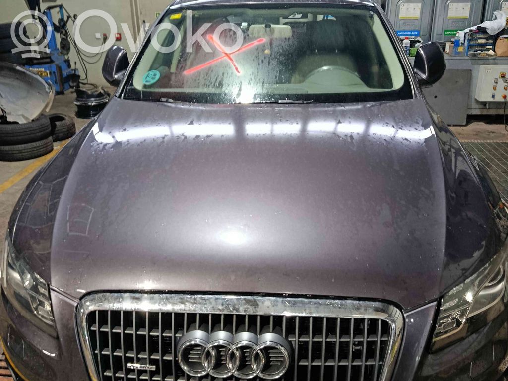 Q5 SQ5 8R Q5, SQ5