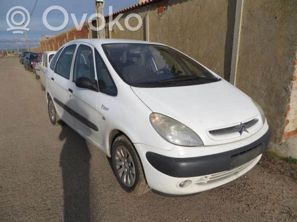 Xsara Xsara, Xsara Picasso