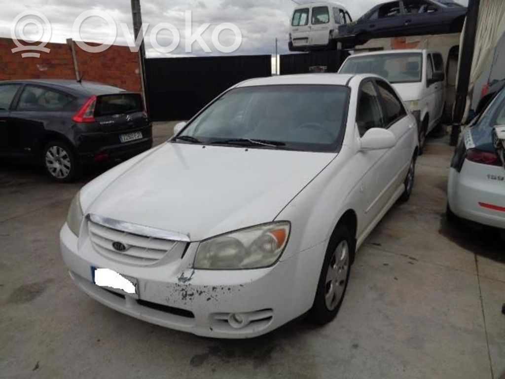 Cerato Cerato  934102F350