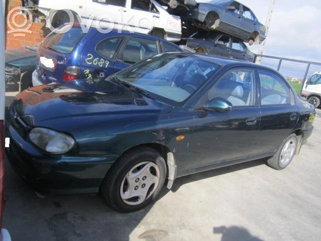 Sephia Sephia  0K24118300