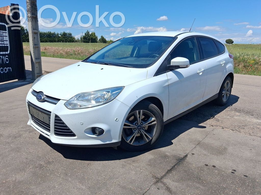 Focus Focus  T1DA