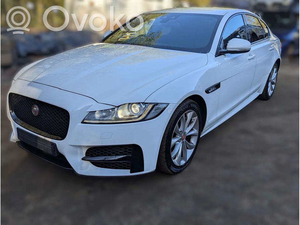 XF XF