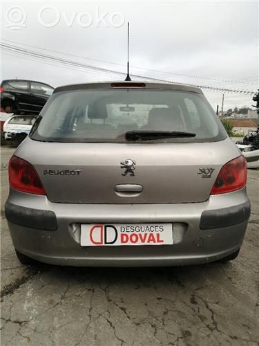 307 307  265216757