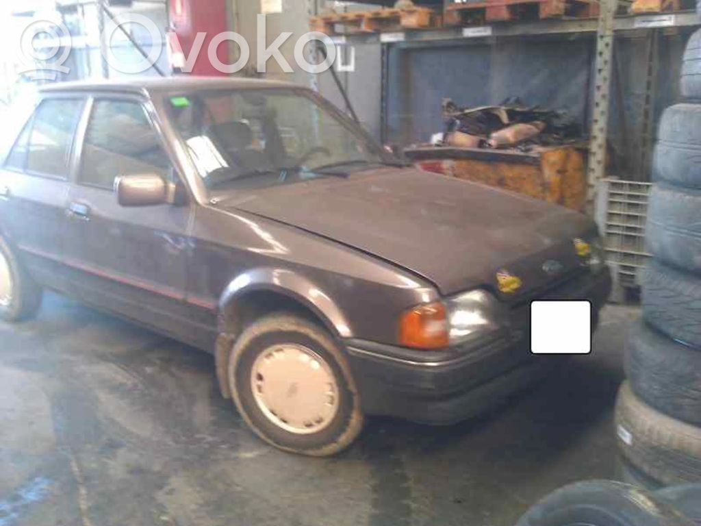 Escort Escort  86AB8146BC
