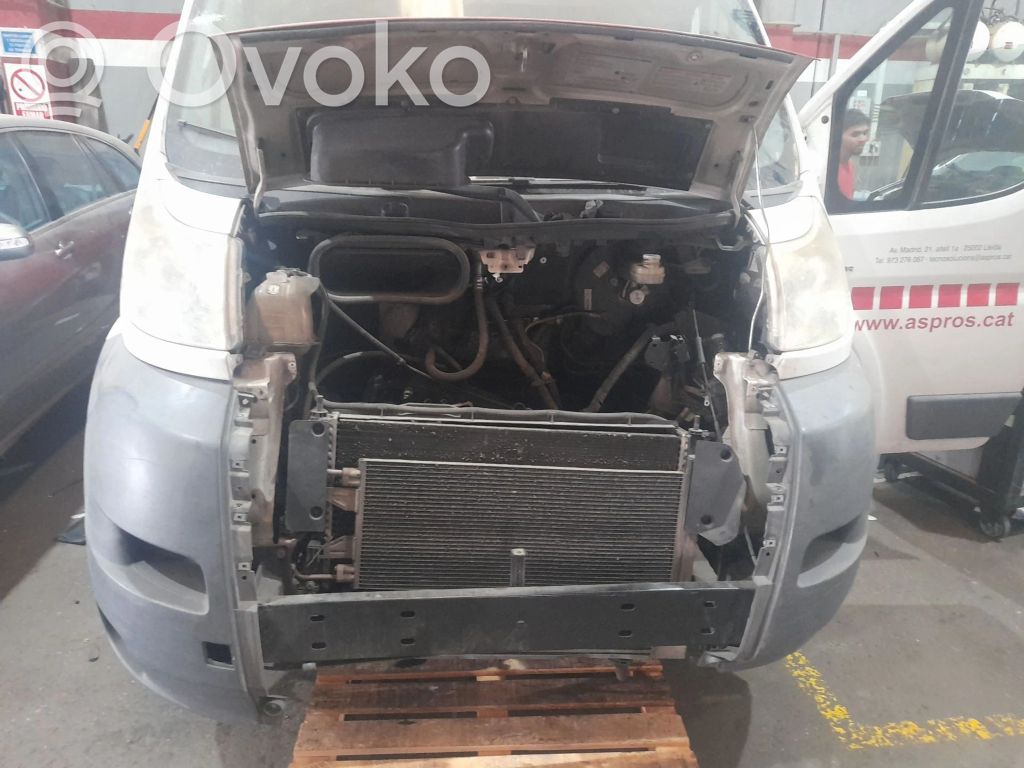 Jumper Jumper  07354567950