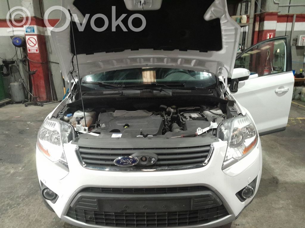 Kuga I Kuga  CV4417A894