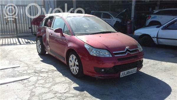 C4 I C4 Picasso, Grand Picasso, Aircross, Cactus  258006185