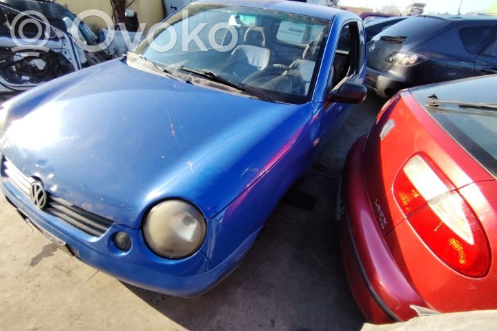 Lupo Lupo