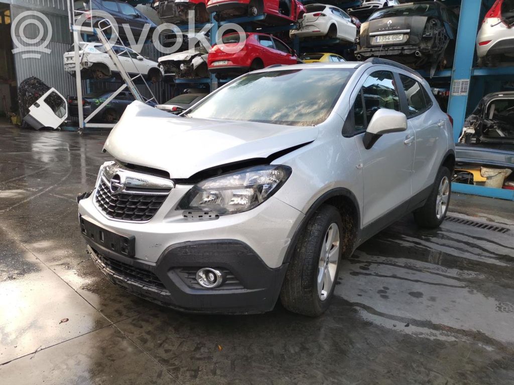 Mokka Mokka  13354532