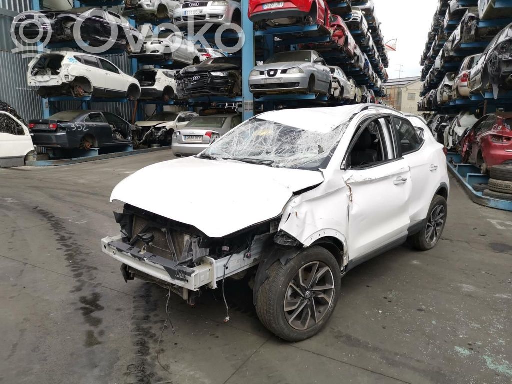 ZS ZS  30090043