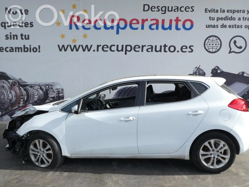 Ceed Ceed, Ceed SW, Pro Ceed  393504A410
