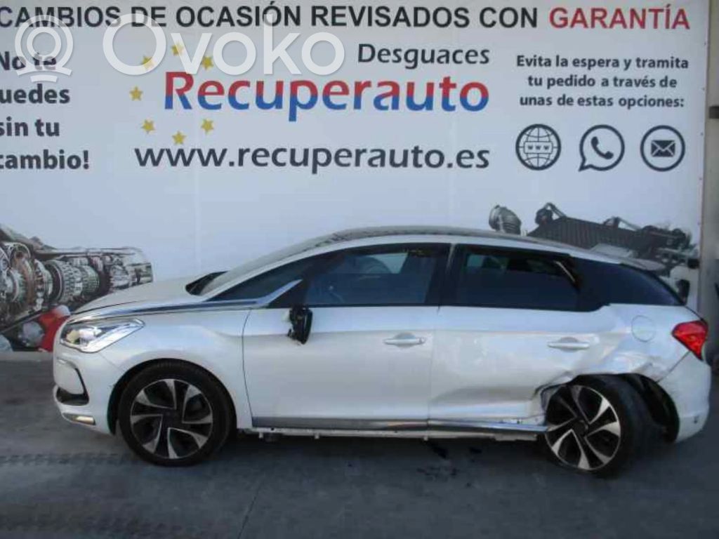 DS5 DS5