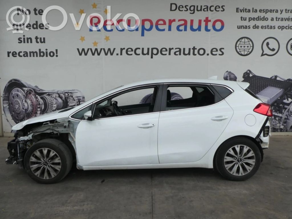 Ceed Ceed, Ceed SW, Pro Ceed  391F204DC0