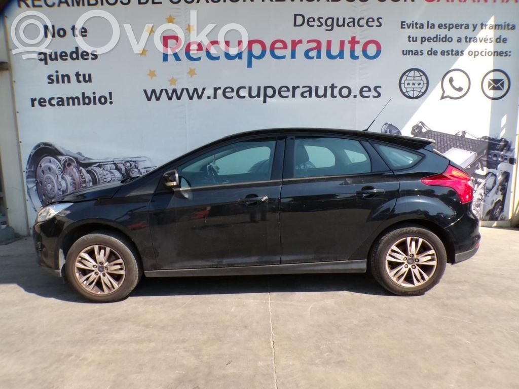 Focus Focus  H1BG6675