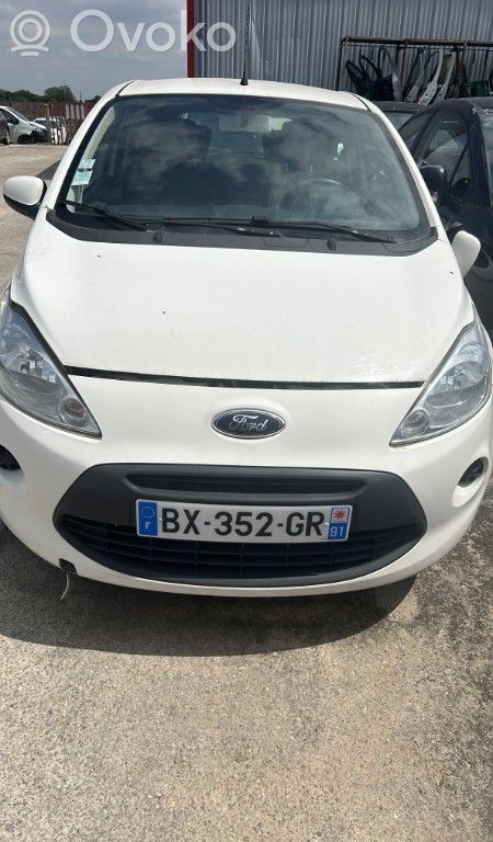 Ka Ka  1571486