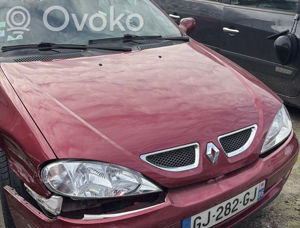 Megane I Megane  D7E22