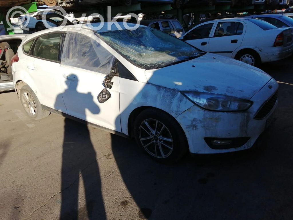 Focus Focus  2251619