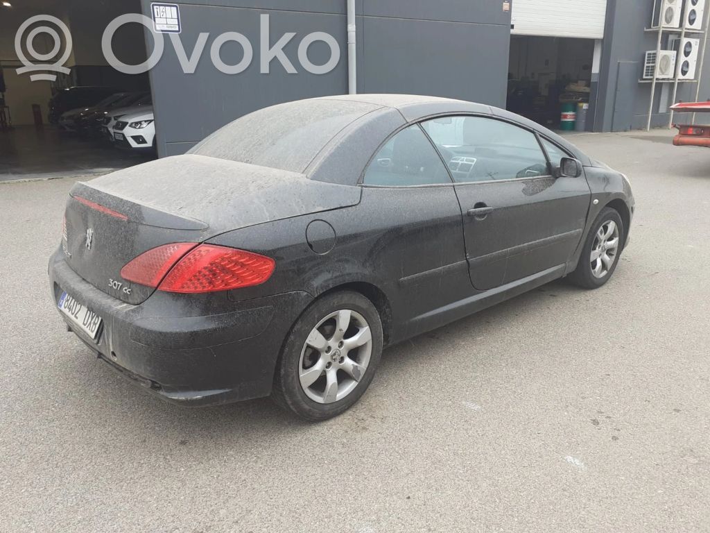 307 307  11013850125N