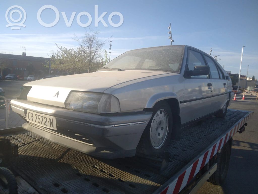 BX BX