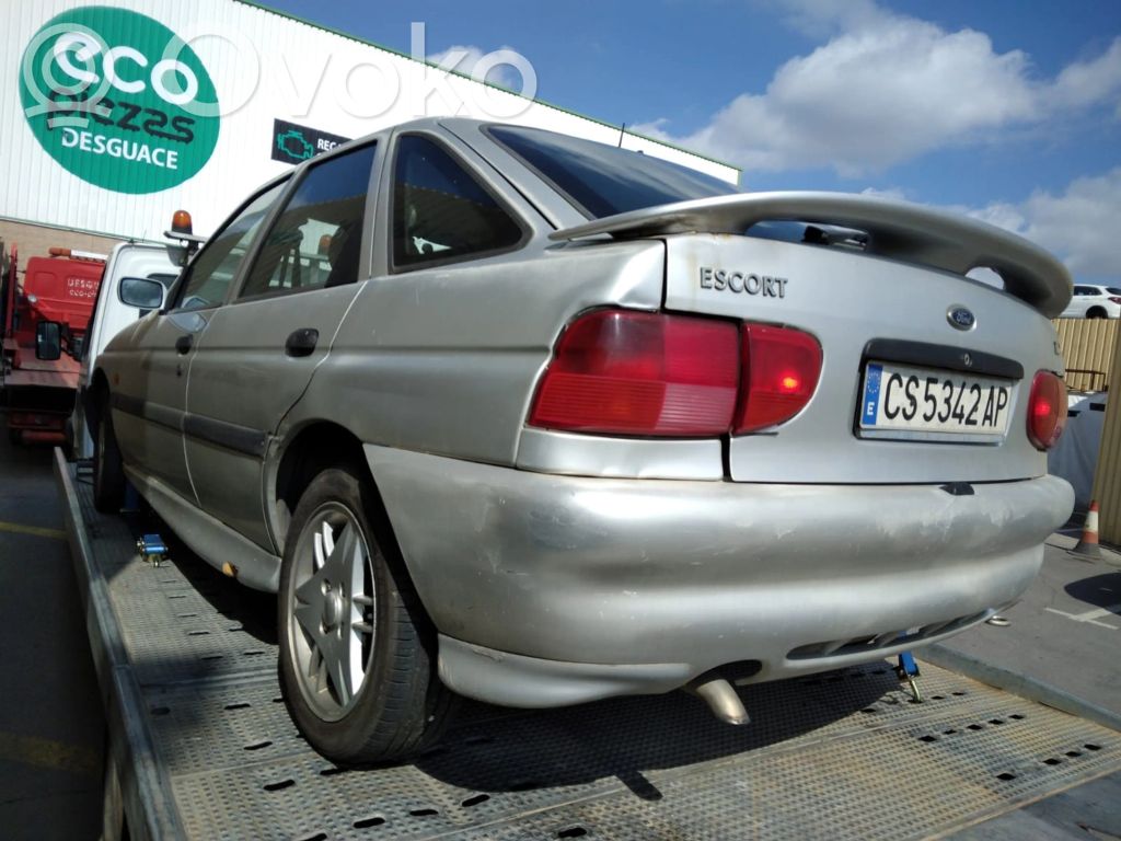 Escort Escort  1022183