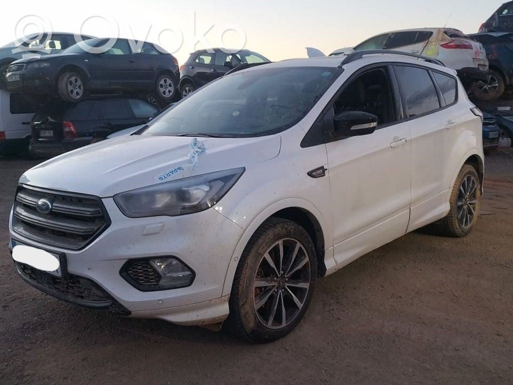 Kuga II Kuga  2344151
