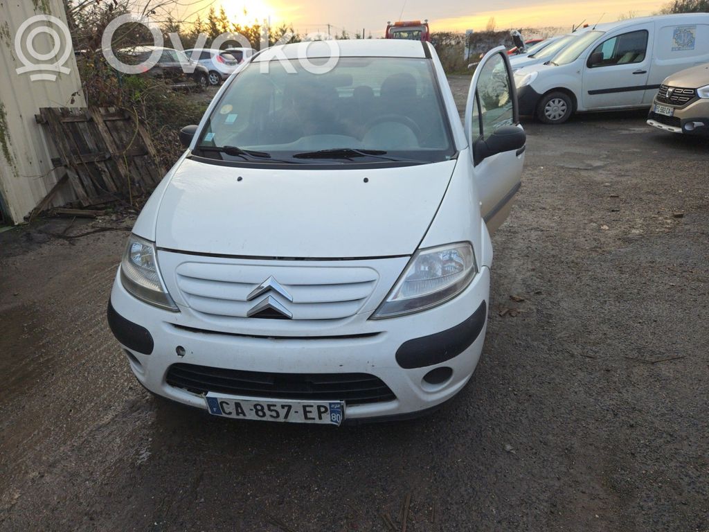C3 C3, Pluriel, Picasso  00004162EA