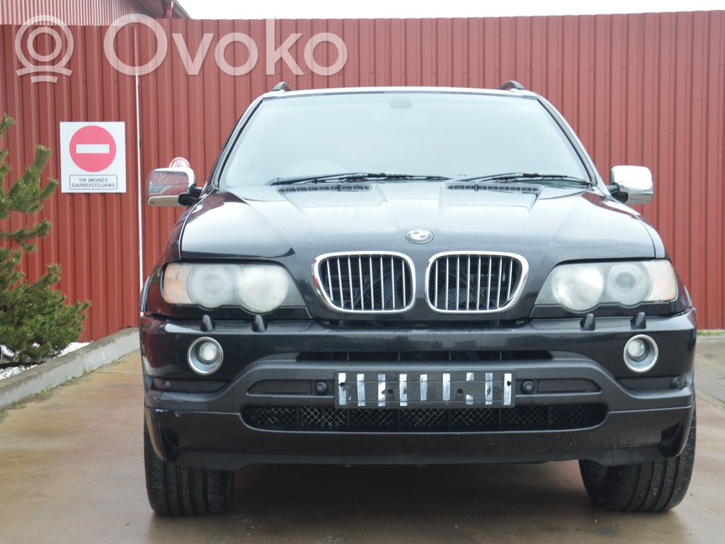 X5 E53 X5  0258003561