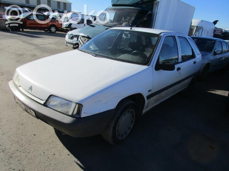 ZX ZX  95656541