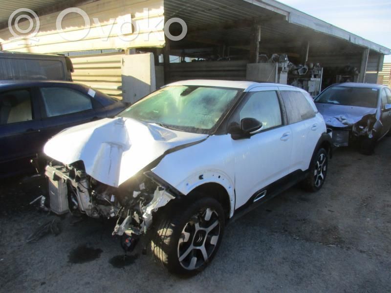 C4 Cactus C4 Picasso, Grand Picasso, Aircross, Cactus  9809391880