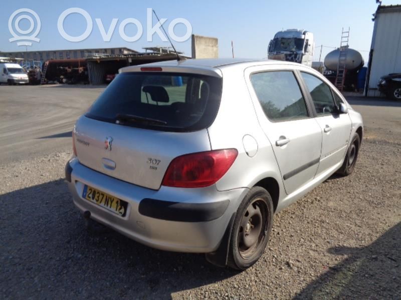 307 307  4541T1