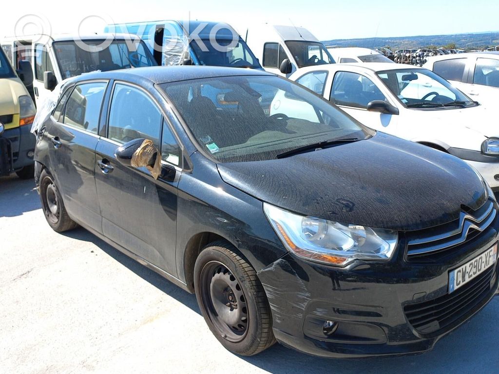 C4 II C4 Picasso, Grand Picasso, Aircross, Cactus  00004401S3