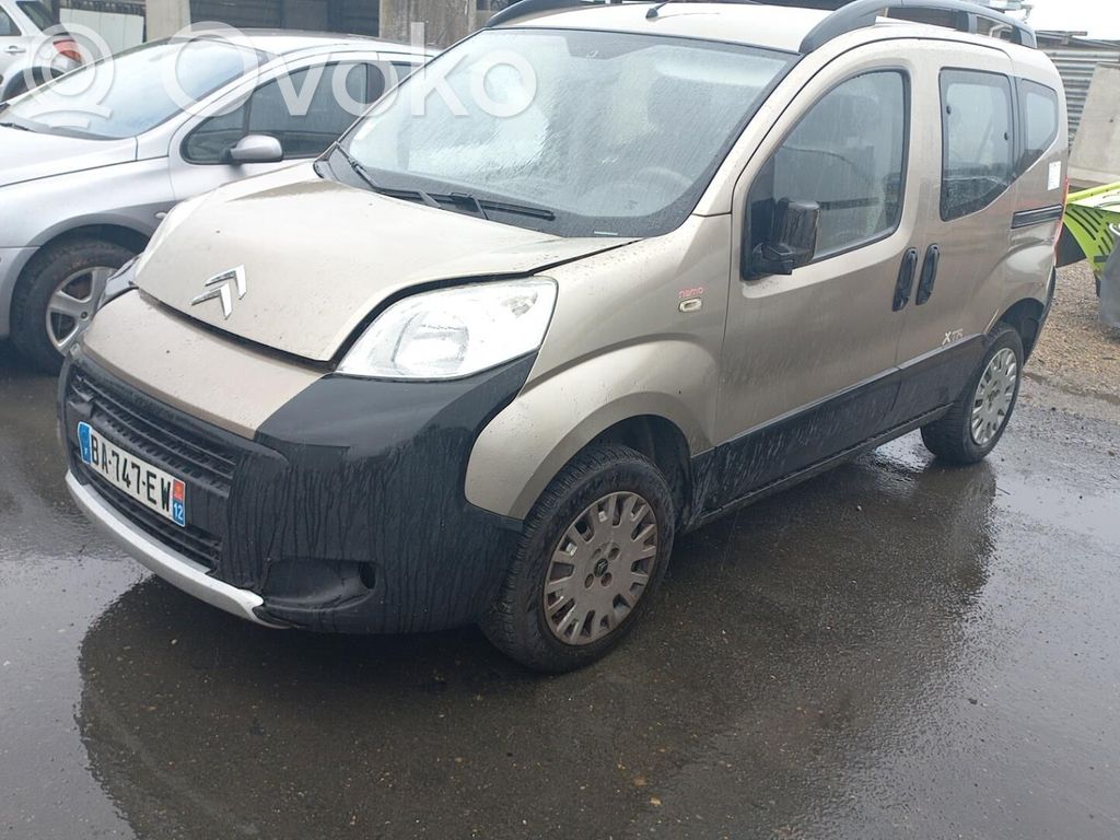 Nemo Nemo  1681654880
