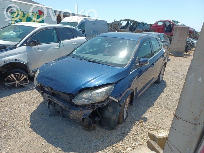 Focus Focus  1825320