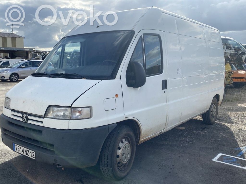 Boxer Boxer  7841E8