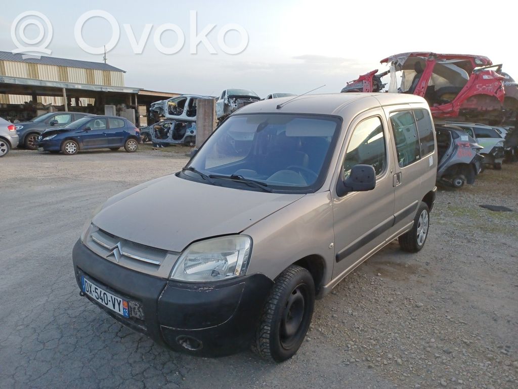 Berlingo Berlingo  00004541FF