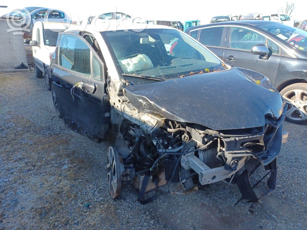 Captur Captur  484000110R