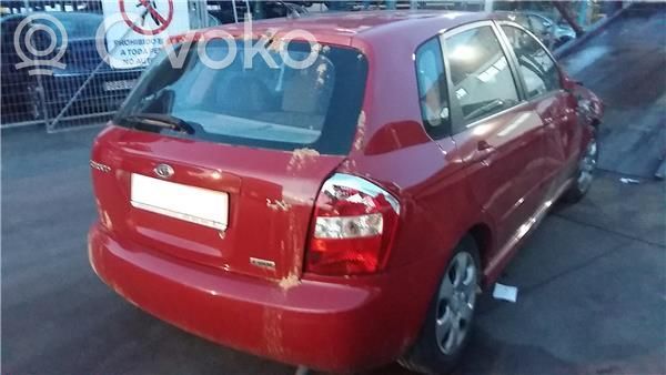 Cerato Cerato
