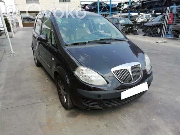 Musa Musa  51755060