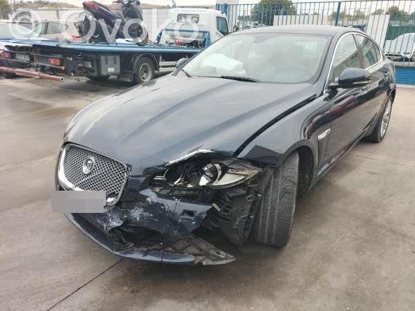 XF X250 XF  C2Z27505