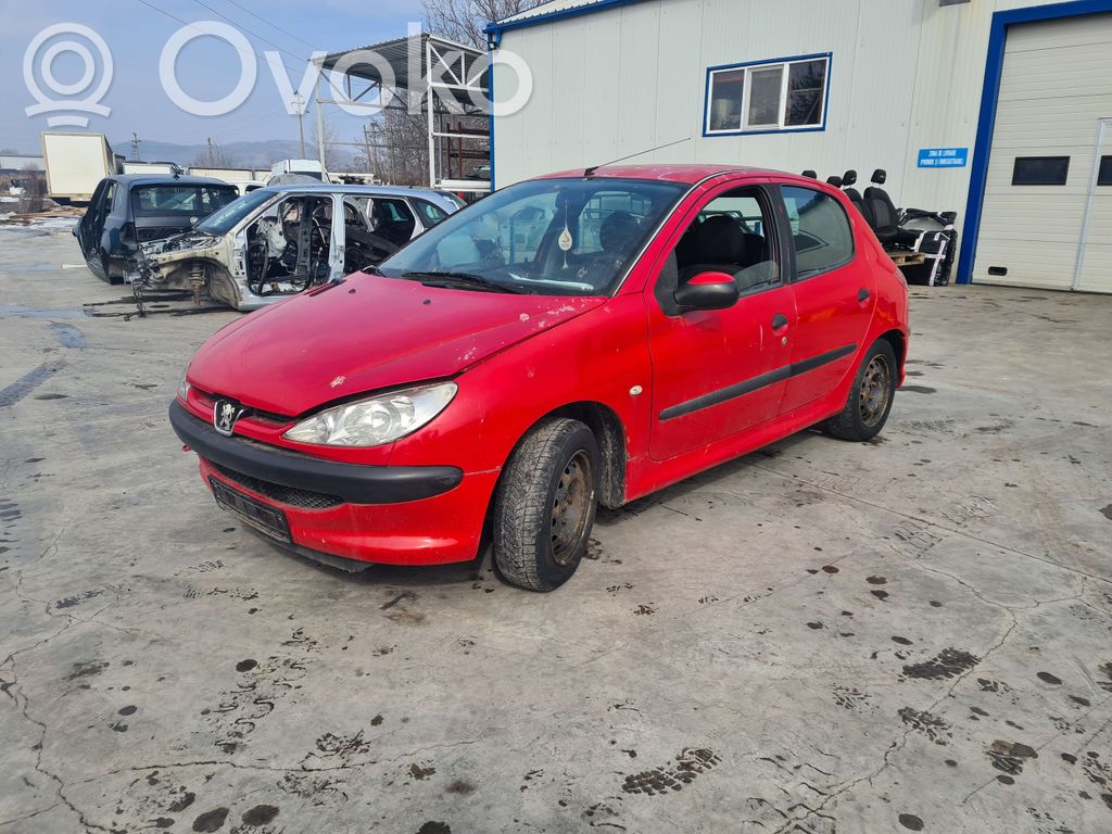 206 206, 206+  9656956080