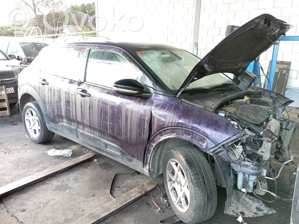 C4 Cactus C4 Picasso, Grand Picasso, Aircross, Cactus  9820893880