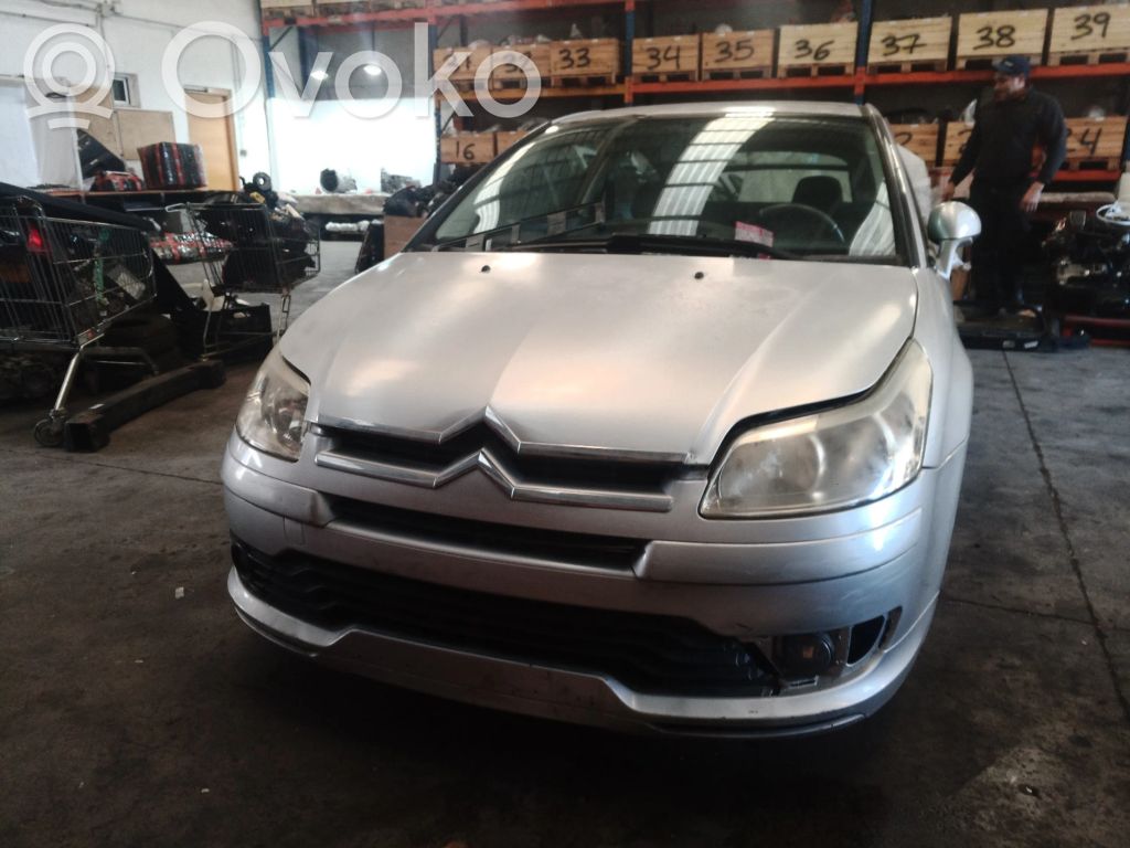 C4 I C4 Picasso, Grand Picasso, Aircross, Cactus  9650695477