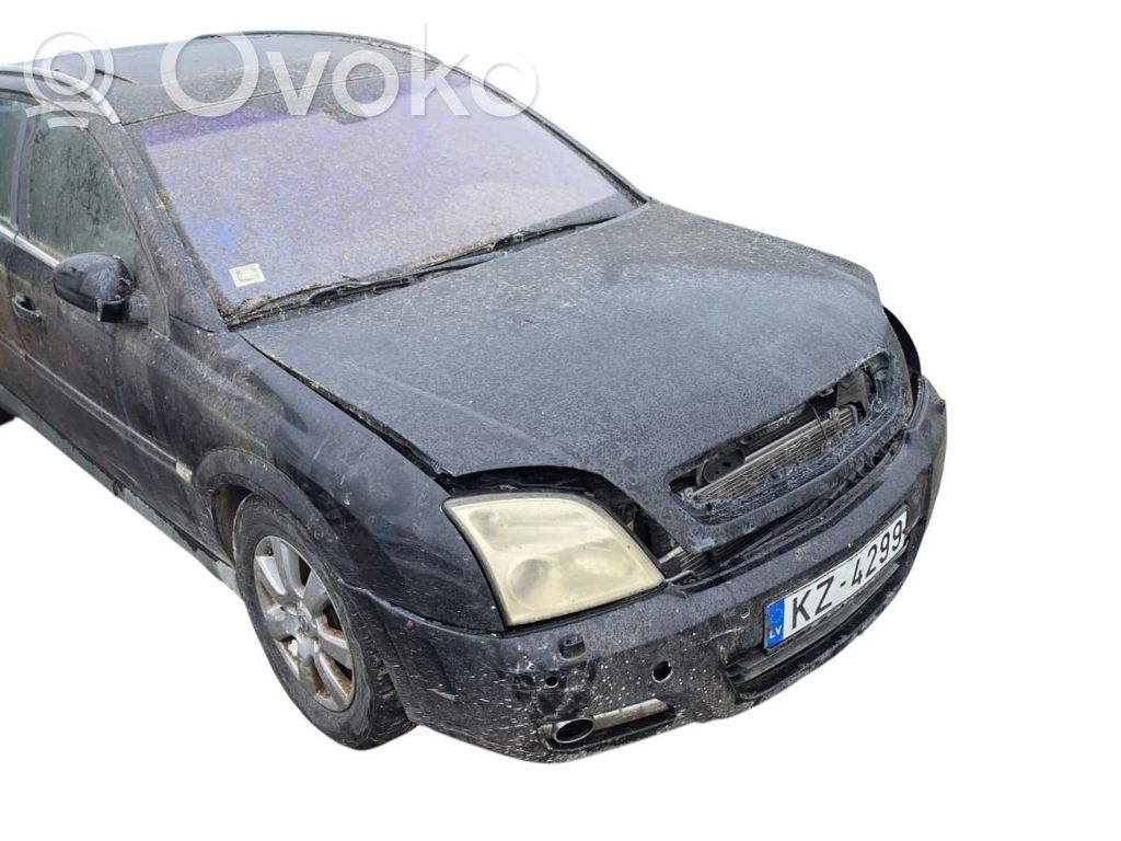 Signum Signum  9185891