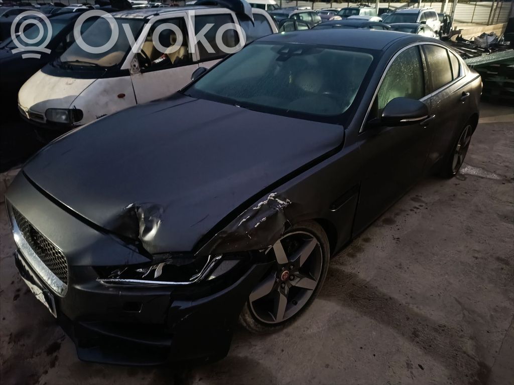 XE XE  T4N13753