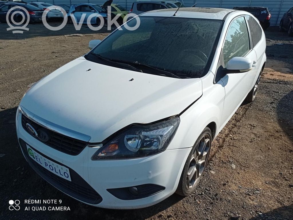 Focus Focus  1708176
