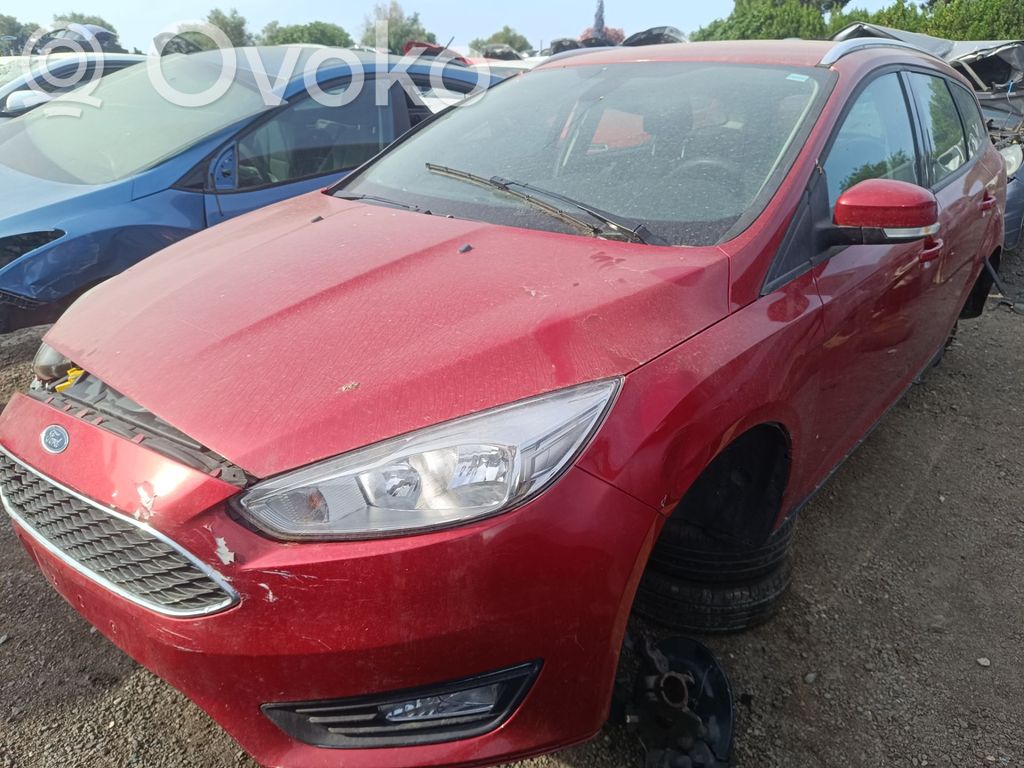 Focus Focus  2018250