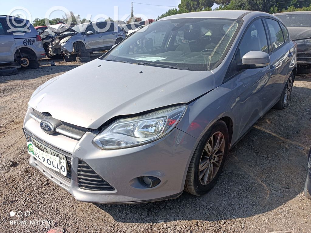 Focus Focus  2066256