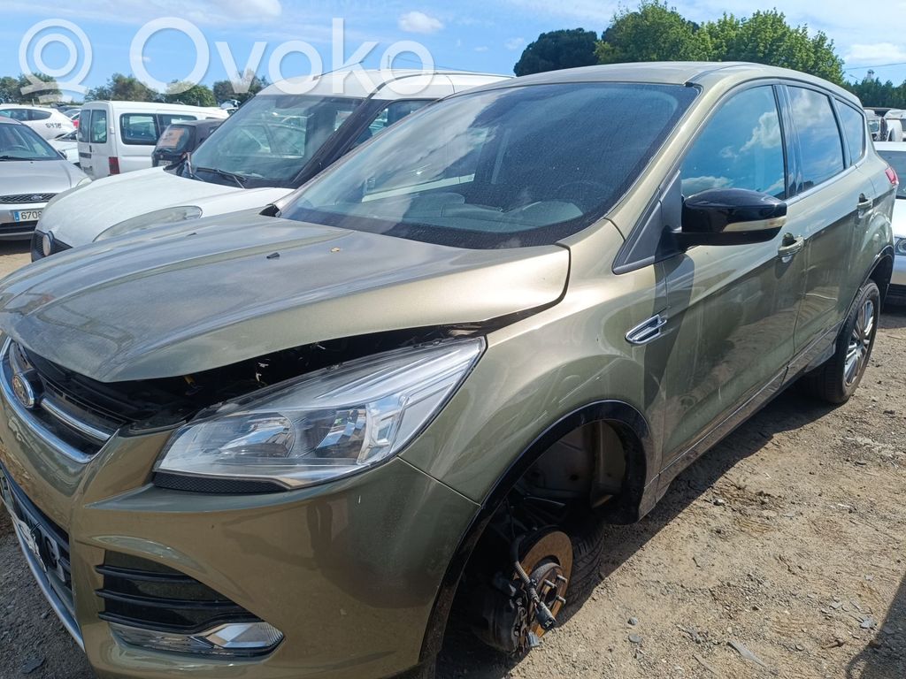 Kuga II Kuga  1877458