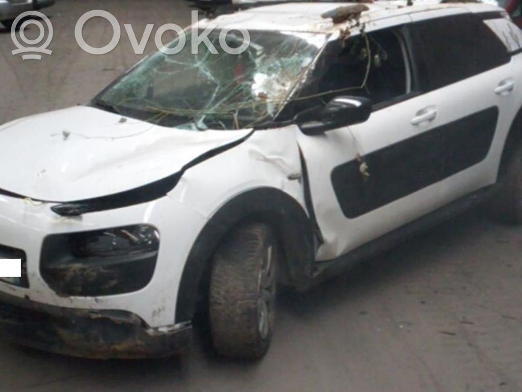 C4 Cactus C4 Picasso, Grand Picasso, Aircross, Cactus  9818677980