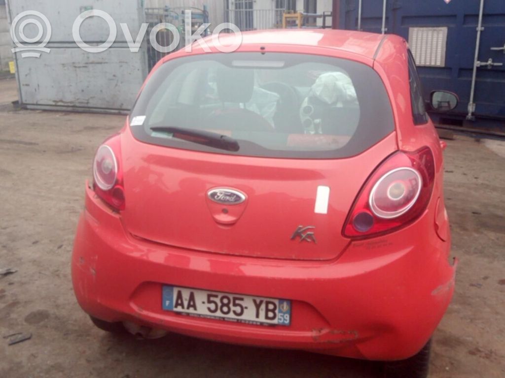 Ka Ka  1557286